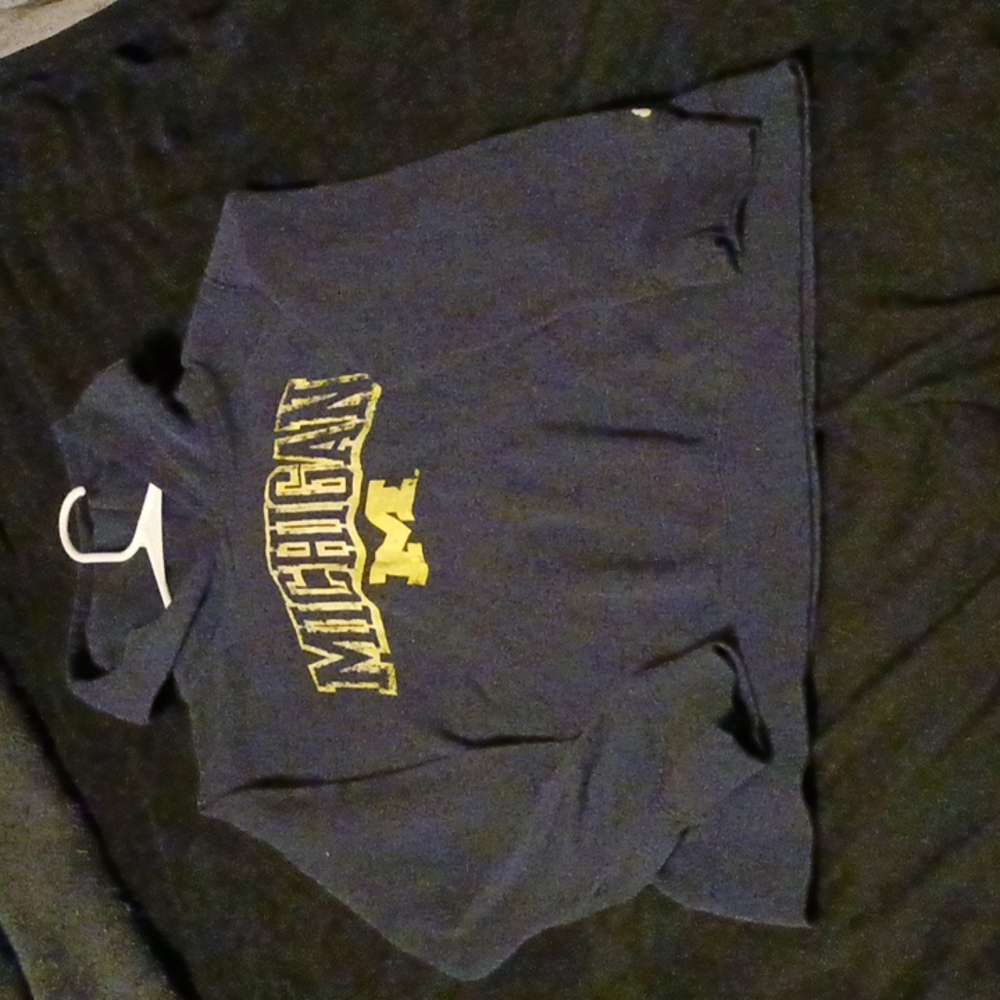 🤣🤣Michigan hoodie 10/12